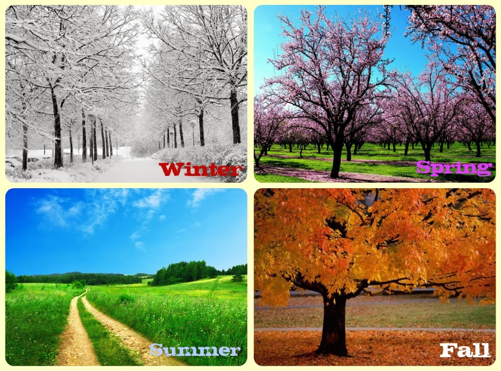 berbagai musim di dunia