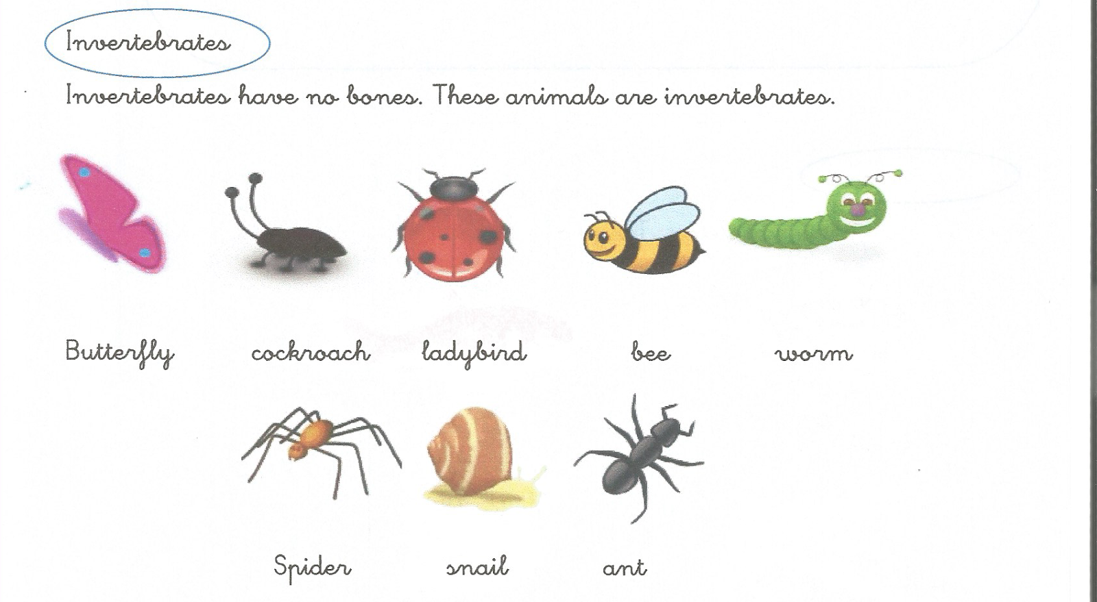 ¡Ya estamos en primaria!: enero 2015