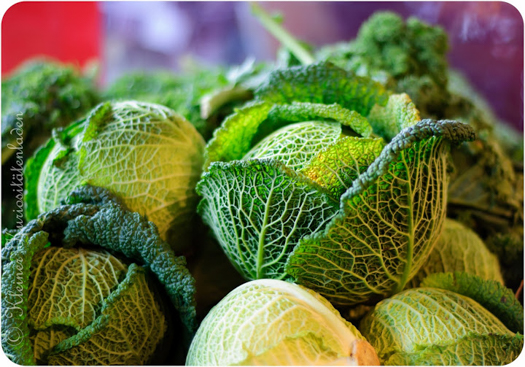 Sasibella Page 24 Chan 10347952 Rssing Com