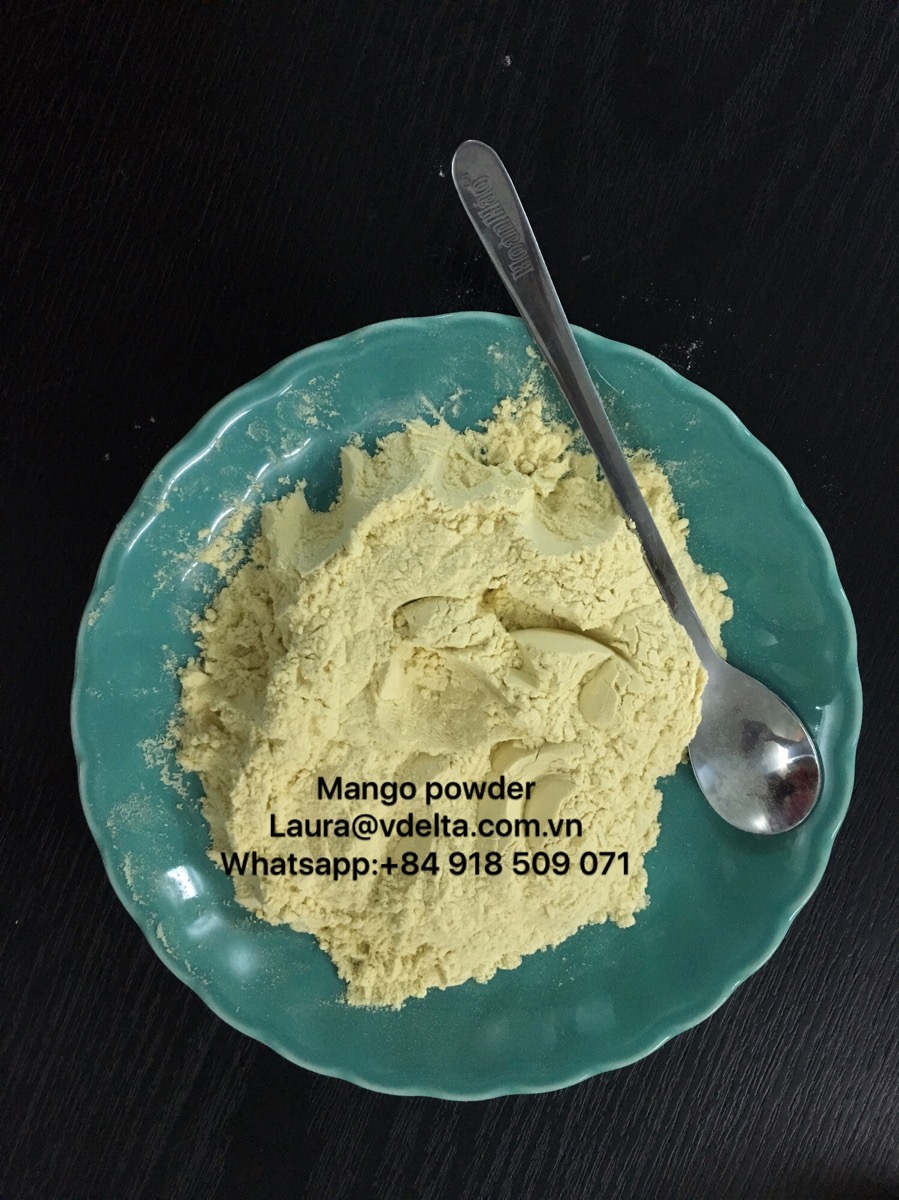 Mango powder Extract powder suppliers