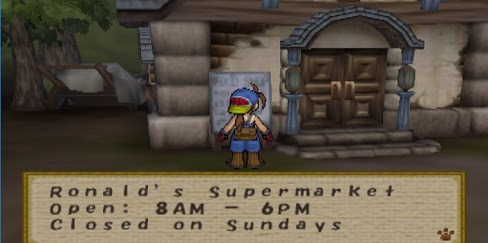 Shops - Harvest Moon: Save The Homeland Guide and Walkthrough