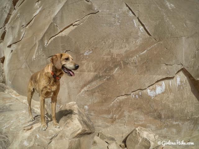 Camping & Exploring The Wedge Overlook Camping & Exploring The Wedge Overlook