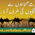 Motivational Urdu Quotes - HD Desktop Images (Part-14)