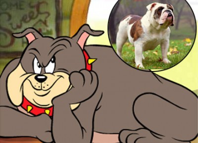 Cachorro do tom e jerry raça Clearance