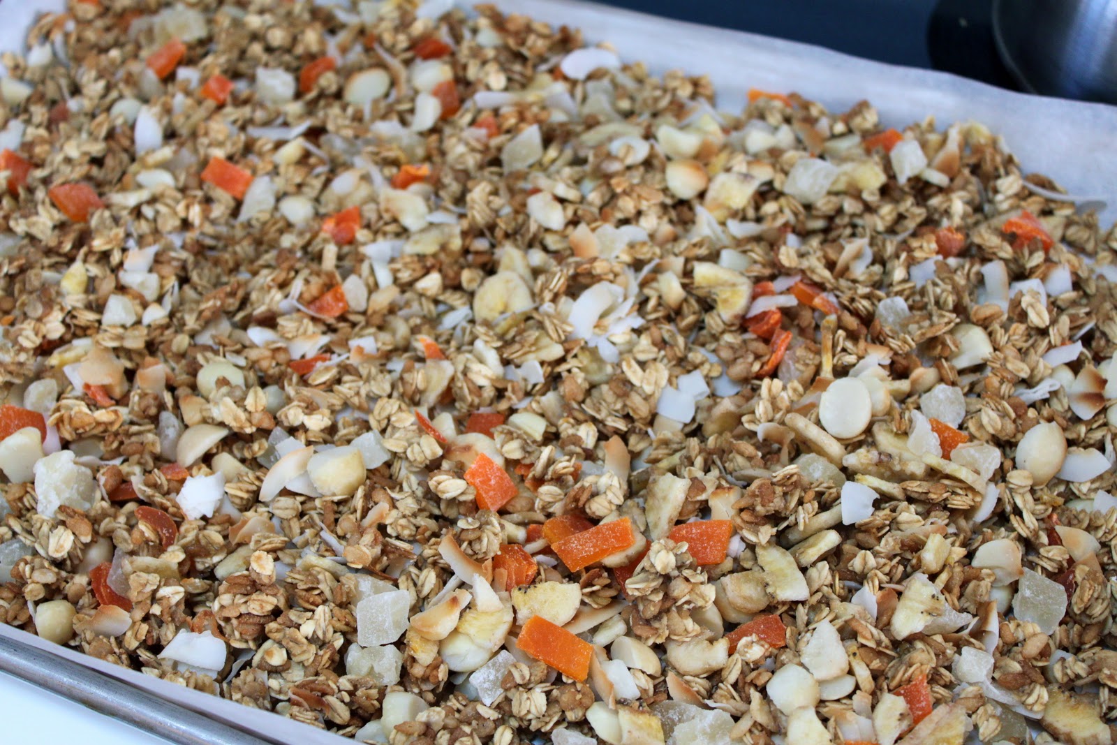 my nutritious dish tropical granola