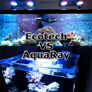 Comparison between EcoTech Radion and AquaRay LED Lighting