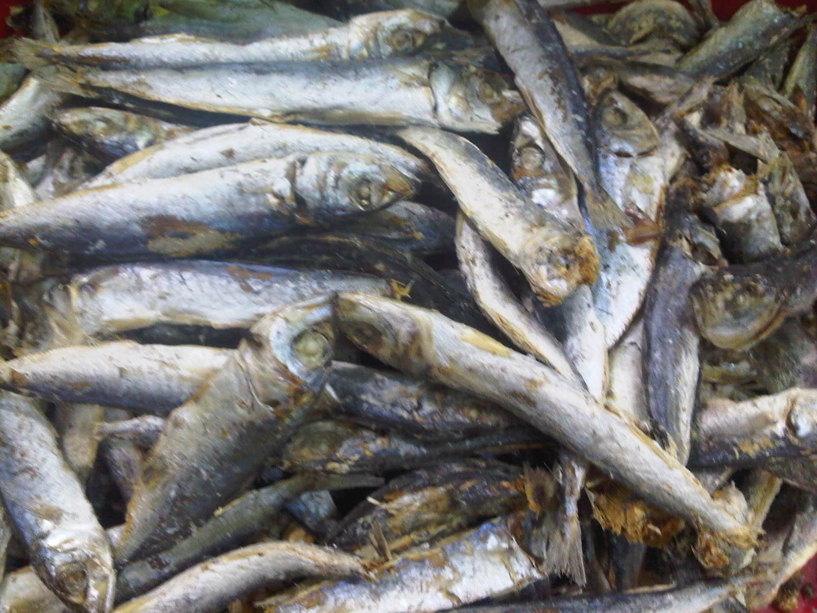 Macam Macam Ikan Asin Ikan Layang Rebus Macam Macam Ikan Asin Ikan Layang Rebus