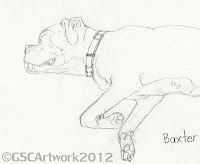 baxter boxer dog pencil drawing
