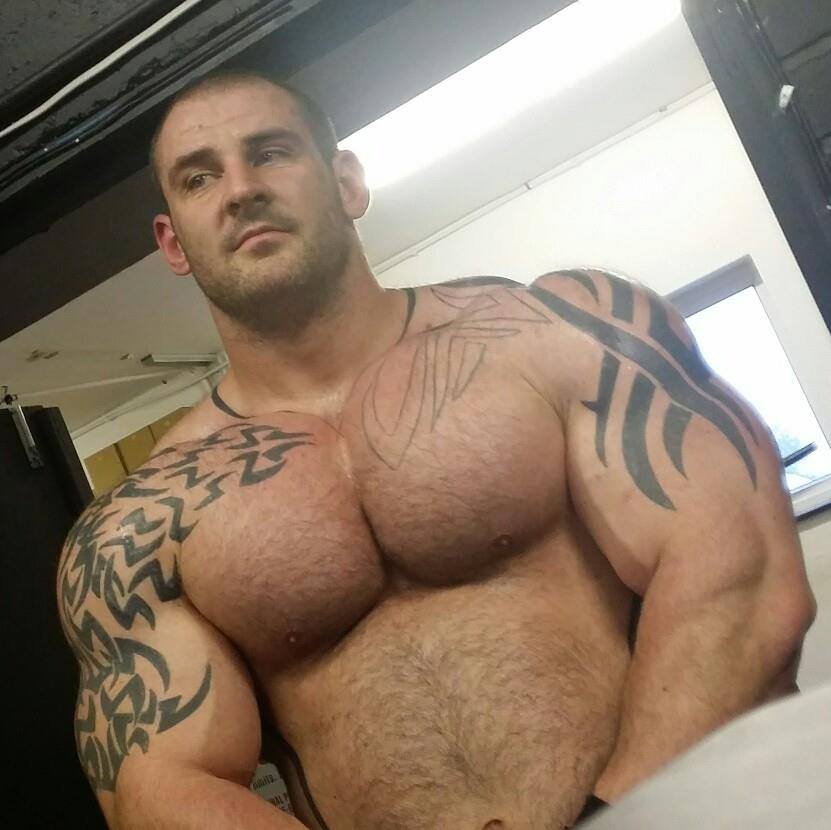 Muscle Hairy Gay 14