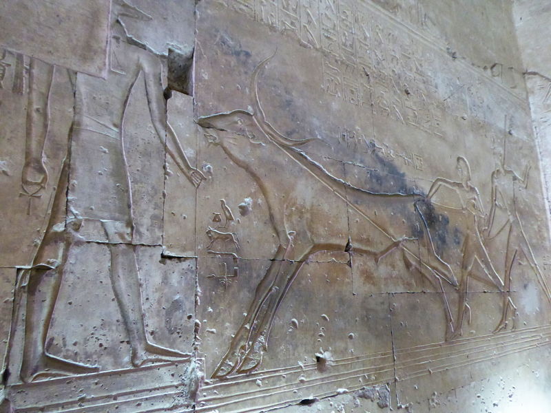 Escursioni da Luxor: Dendera e Abydos | Girovagando con Stefania - Blog di viaggi e trekking