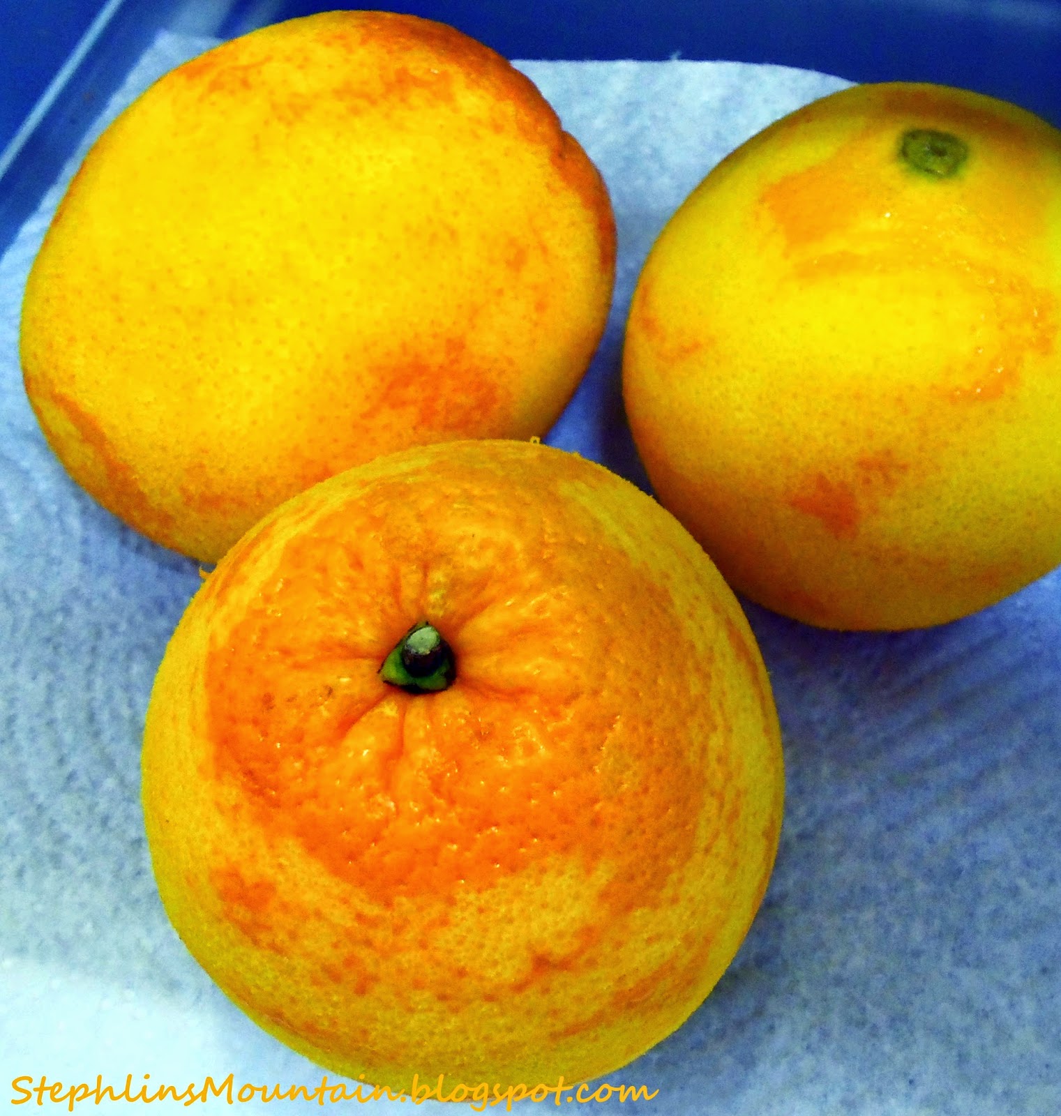 Stephlin's Mountain How to Make and Store Your Own Dried Orange Zest