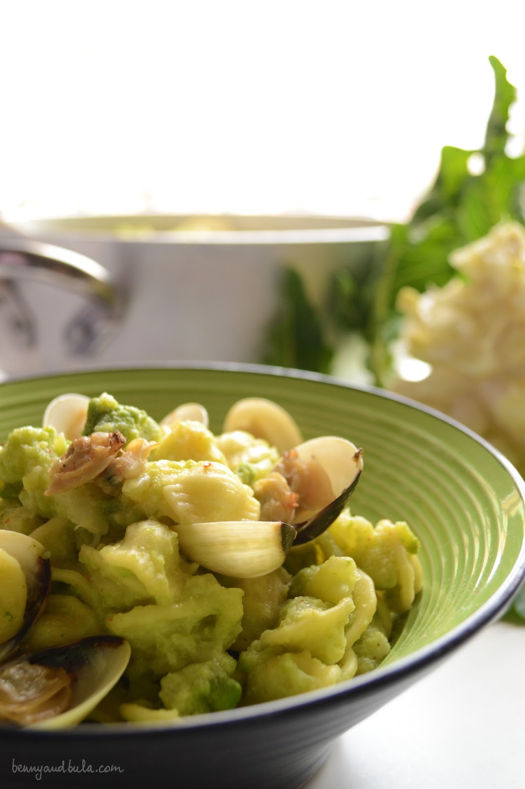 ricetta orecchiette broccolo romanesco e vongole/ roman broccolo and clams pasta recipe