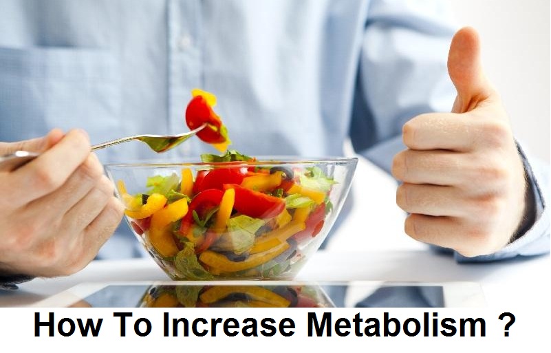 Metabolic Process How Metabolism Works In Human Body ? Health And Beauty