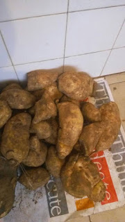 Potato Potato
