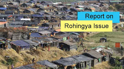 Report on Rohingya Crisis