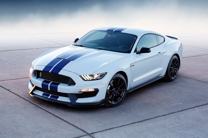 Shelby Mustang Ford Sports Car Shelby Mustang Ford Sports Car