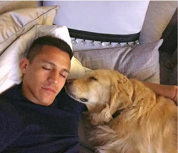 The unseen bond: Footballers and their dogs