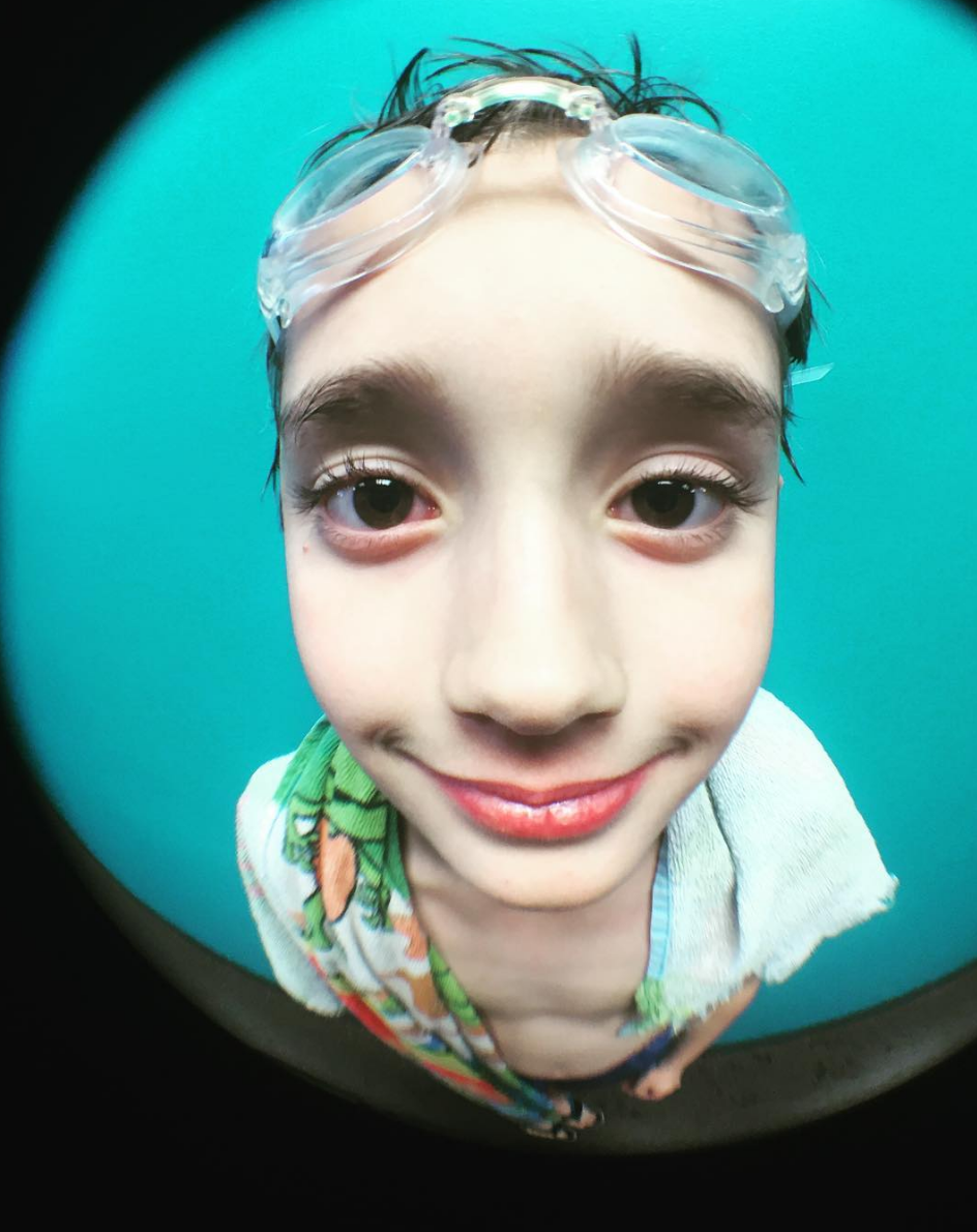 dog fisheye lens dog fisheye lens