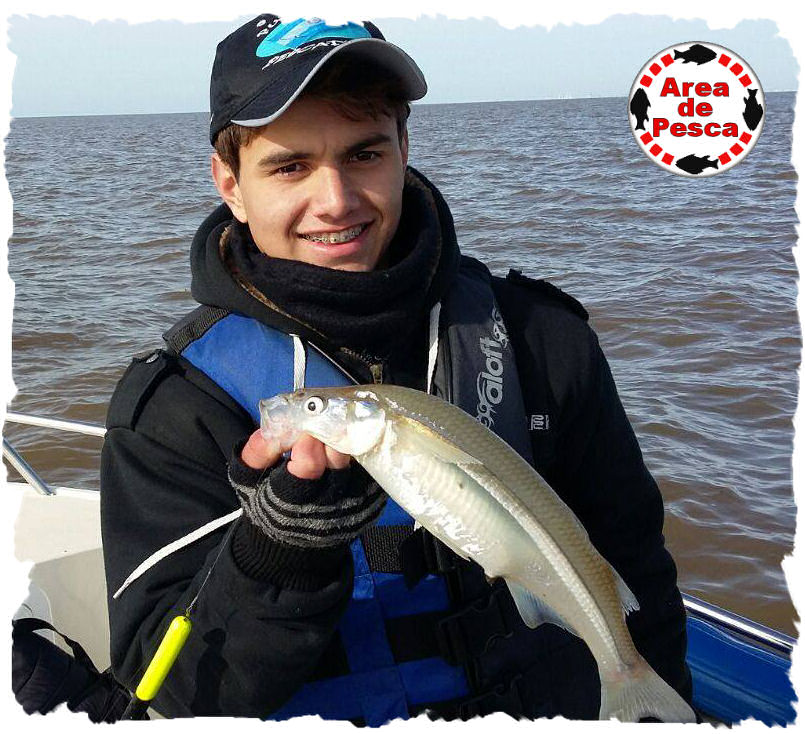 El sitio sobre la pesca los tipos de los peces