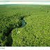 Floresta Amazônica: Preservá-la não é ideologia, é futuro