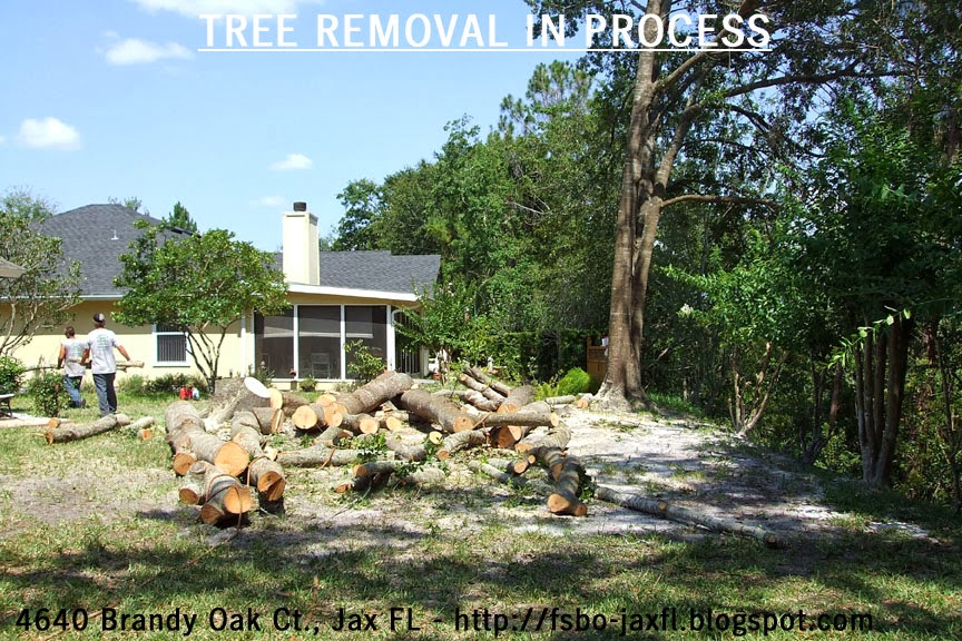 4640 Brandy Oak Court - Water Oak Trees Removal in Process 4640 Brandy Oak Court - Water Oak Trees Removal in Process