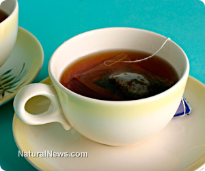 Sachês de chá baratos contêm assustadoramente altos níveis de flúor, diz Estudo