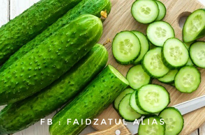 Kurus Dengan Timun Dimar