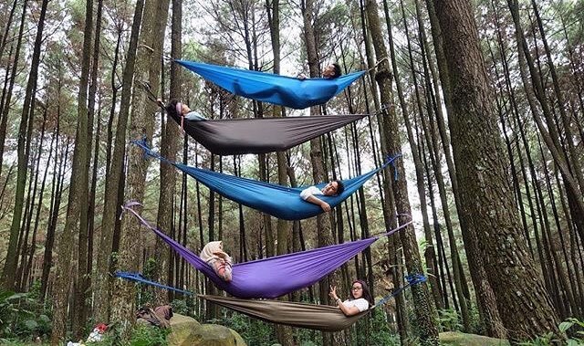 hammock di gunung pancar hammock di gunung pancar