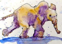 elephant macphail cards watercolour painting drawing pencil contour nora afternoon artist
