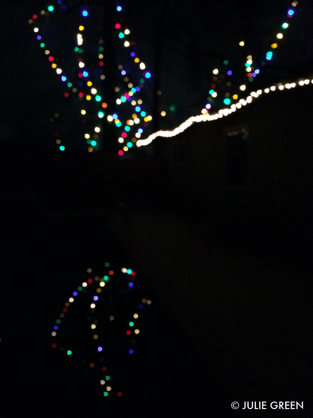 Patterns and Tones Christmas Tree Lane Color in Motion Part 1