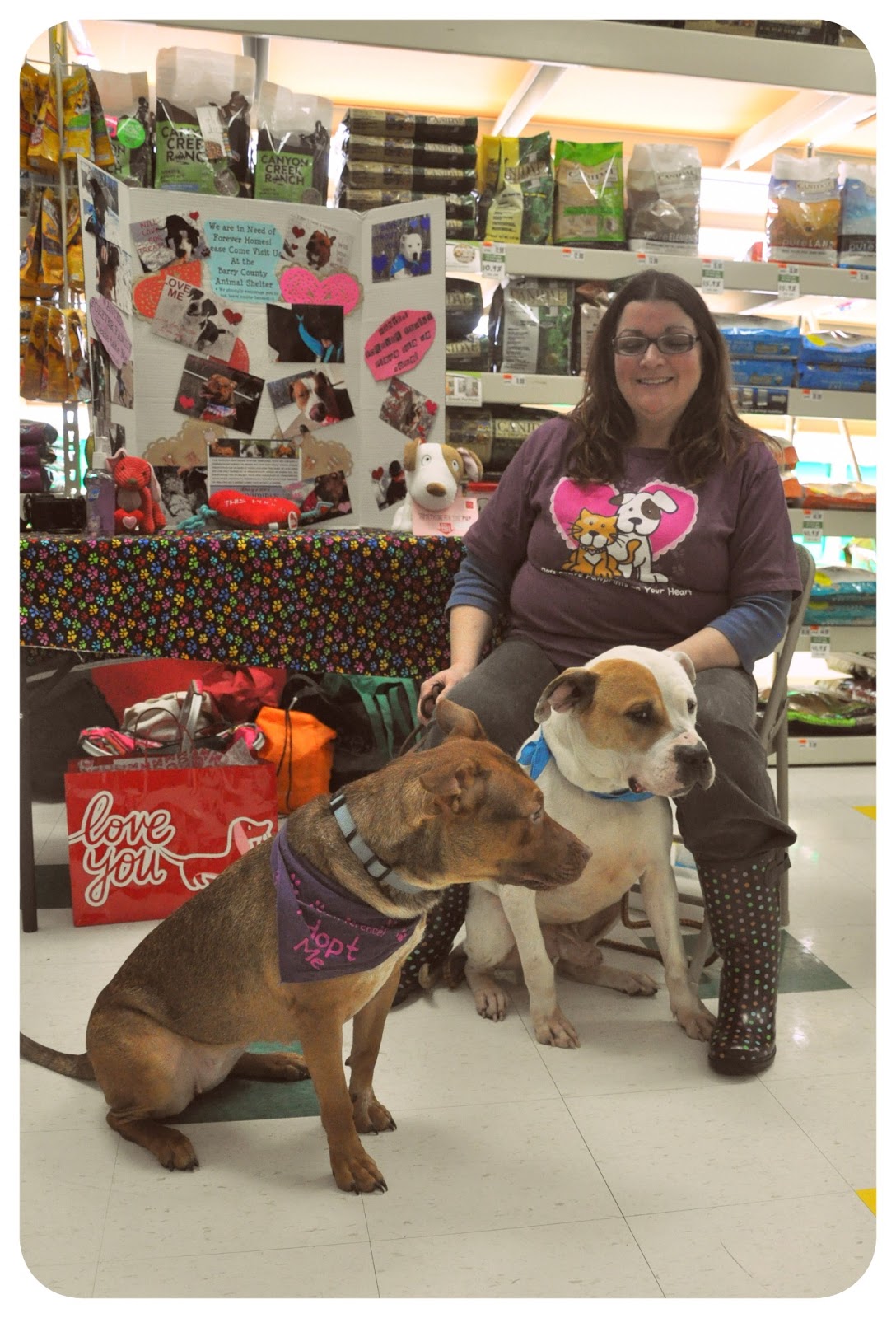 Dog Walker Rescue Our First "Meet and Greet" at Pet Supplies "Plus"