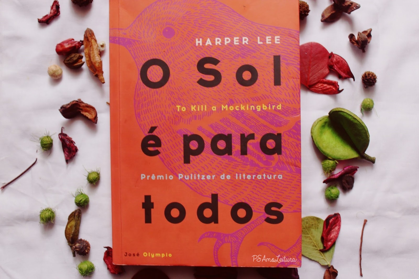 PS Amo Leitura: Resenha | O sol é para todos, de Harper Lee