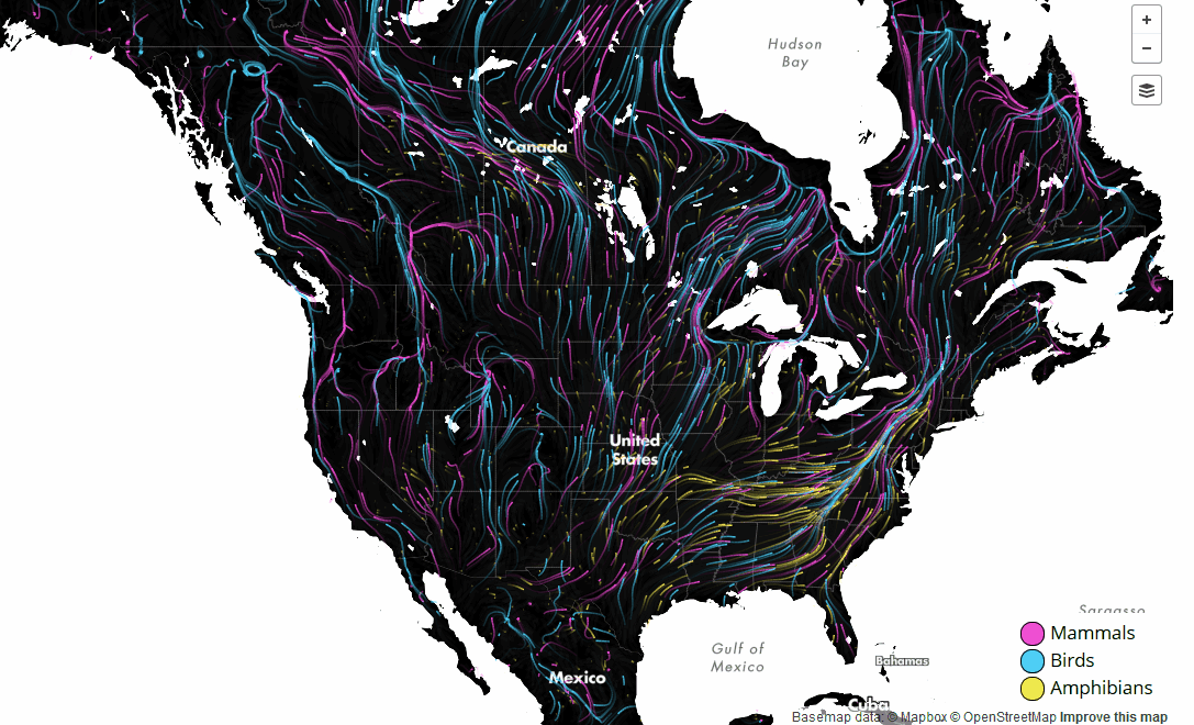 Species movements due to climate change