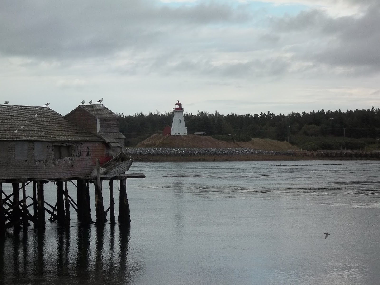Wicked Awesomology Visiting Lubec, Maine