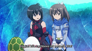 Itai no wa Iya nano de Bougyoryoku ni Kyokufuri Shitai to Omoimasu Episode 04 Subtitle Indonesia