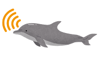 è¶
鳿³¢ãåºãã¤ã«ã«ã®ã¤ã©ã¹ã