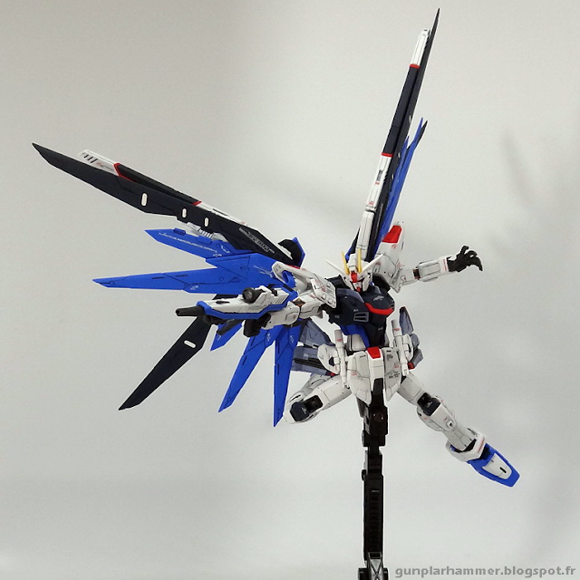 RG Real Grade Freedom Gundam  1/144