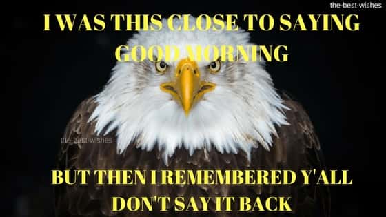 Eagle-Images-with-Good-Morning-meme Eagle Images with Good Morning meme