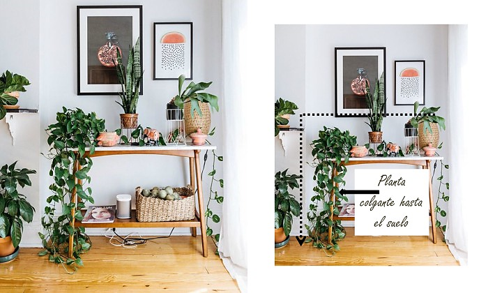 Cómo hacer composiciones con plantas