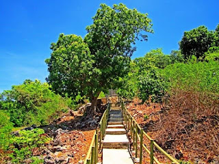 10+ Tempat Wisata di Pulau Rote, Sejuta Pesona di Ujung Selatan Nusantara 2