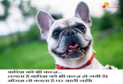  Latest Joke Shayari In Hindi
