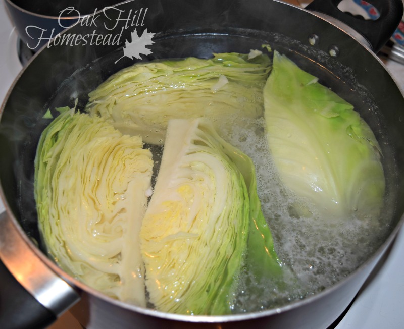 Freezing and Dehydrating Cabbage Oak Hill Homestead