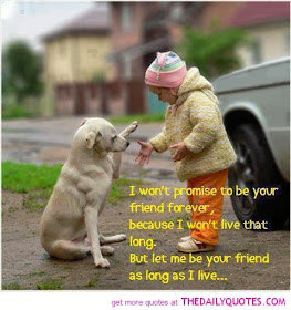  animal, dog, cat, pet, animal, inspiring quotes for animal lovers, petsnmore.org, child,