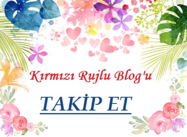 Blog Takibi