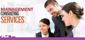 What Business Management Consultants do for you?