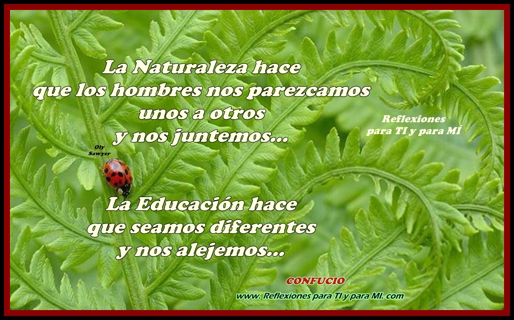 mensajesevelio Pensamientos sobre la naturaleza mensajesevelio Pensamientos sobre la naturaleza