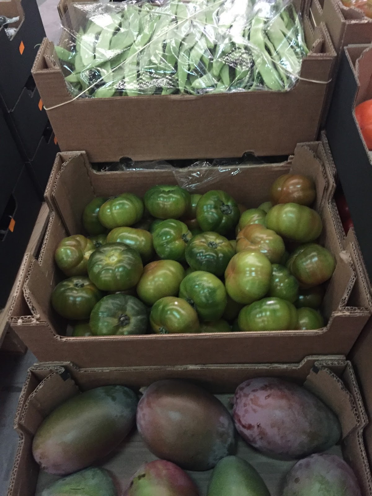 COHorts Spanish Greenhouse Tour