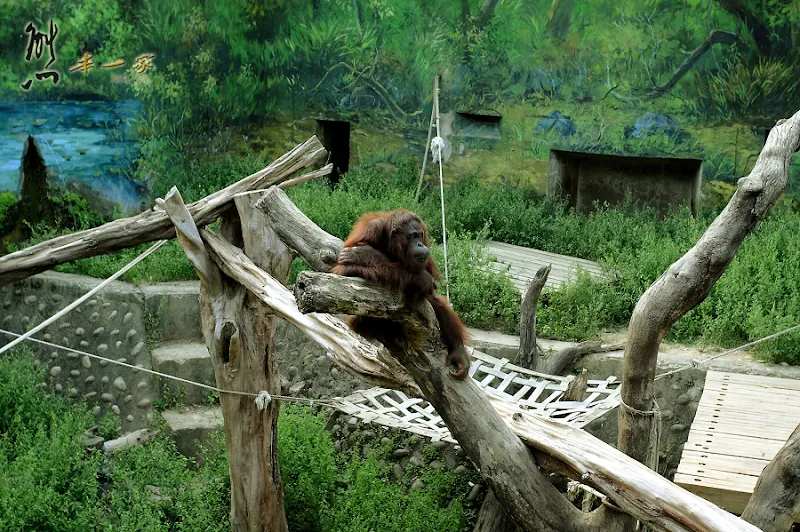 新竹親子遊|新竹市立動物園~有日本奈良賞鹿的Fu