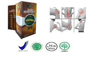 Pengobatan Tradisional Penyakit Nyeri Sendi