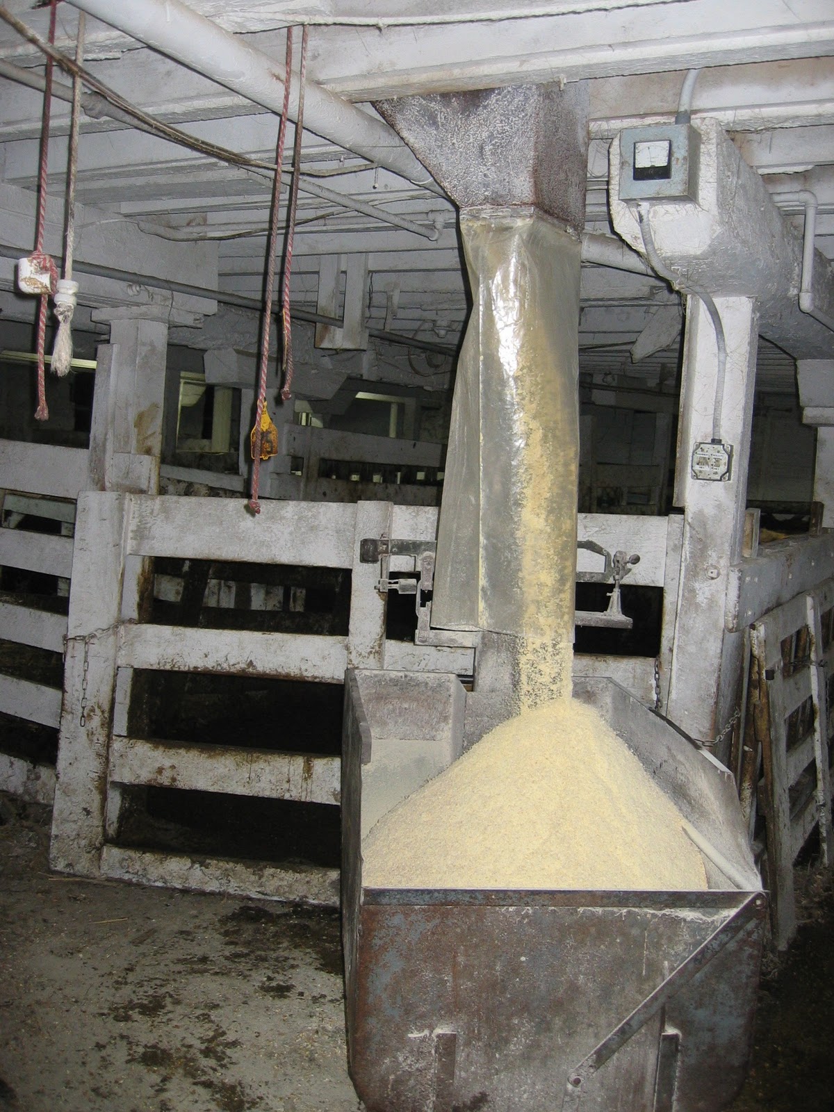 WI Farm Life Mixing Feed In Pictures